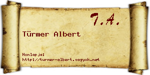 Türmer Albert névjegykártya