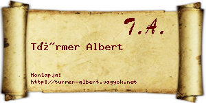 Türmer Albert névjegykártya